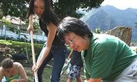 Students gardening